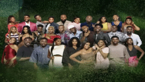 28 housemates