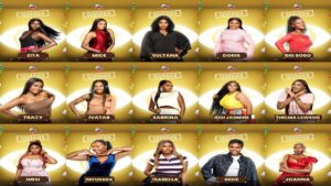 Big Brother Naija