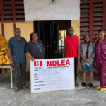 NDLEA