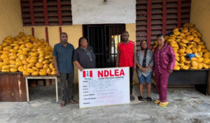 NDLEA