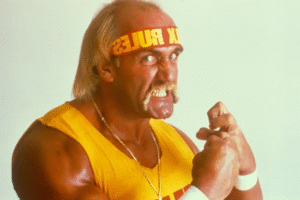 hulk hogan