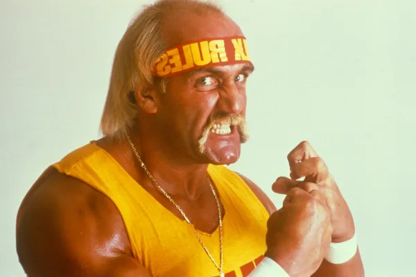 hulk hogan