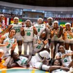 D’Tigress