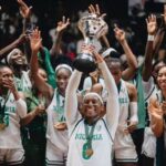 D’Tigress