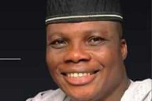 Mr Stephen Ogundipe