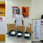 NDLEA