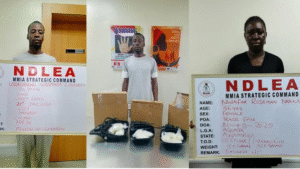 NDLEA