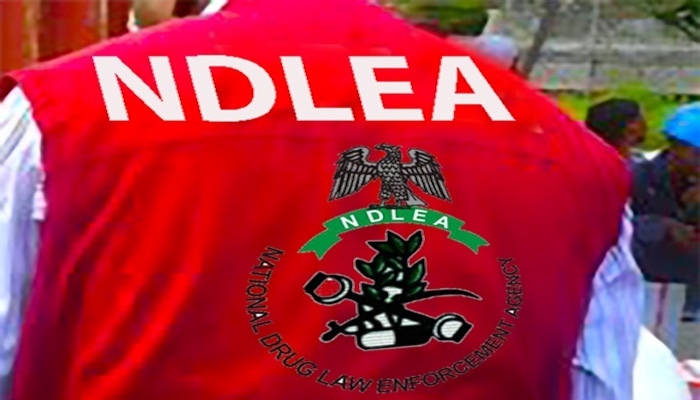NDLEA seizes 2.318 tons of marijuana in Kwara NDLEA