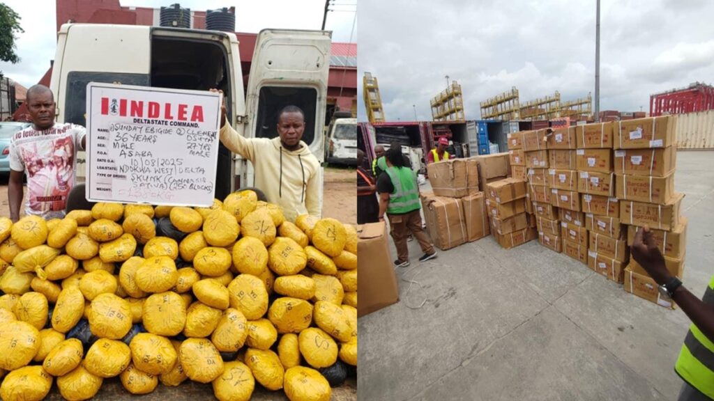 NDLEA arrests notorious drug kingpin in Delta notorious drug kingpin in Delta