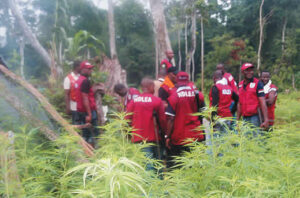 NDLEA